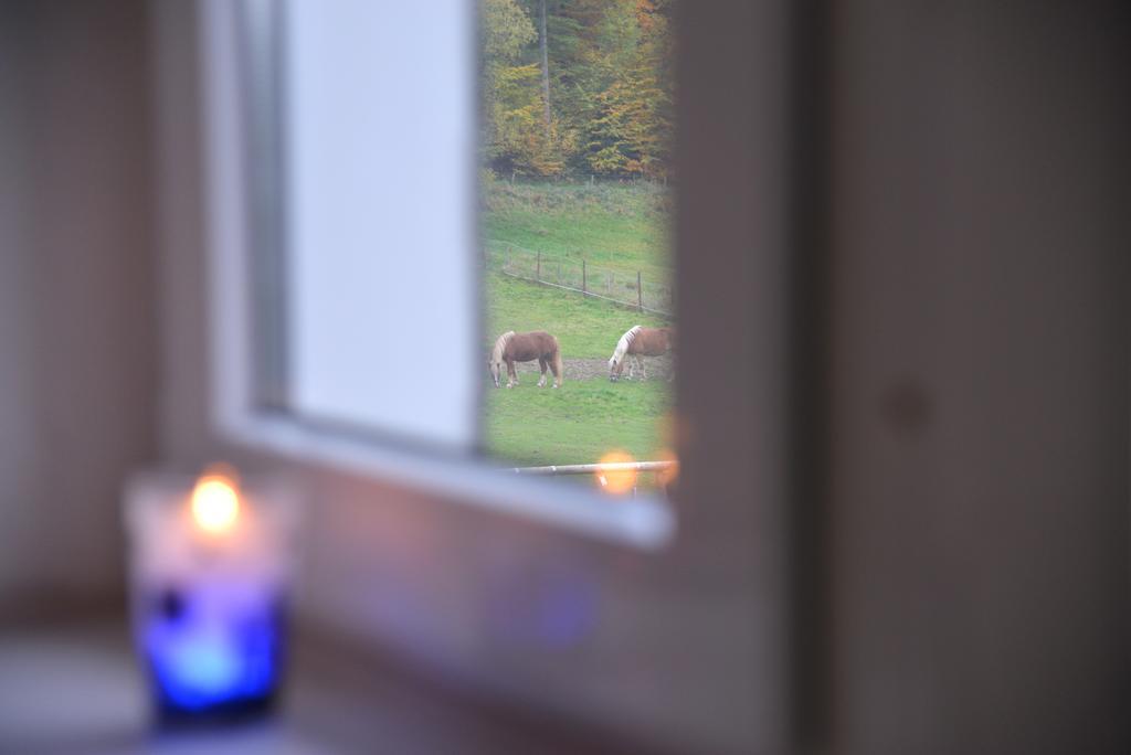 Ferienwohnung Schadler Windeck Eksteriør bilde